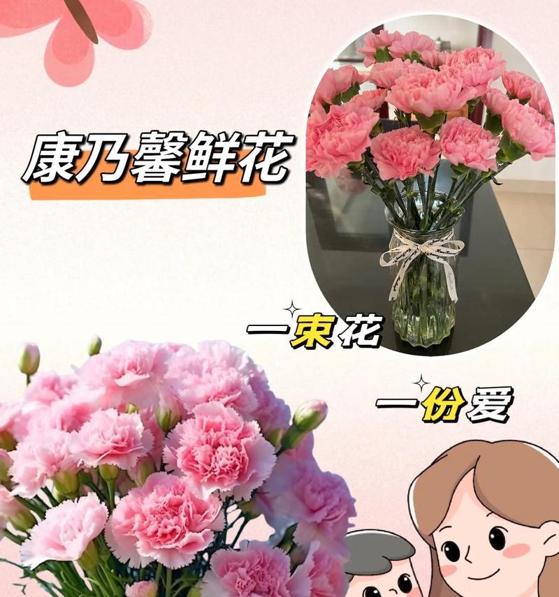 母亲节送毛线花有何寓意？毛线花象征什么？