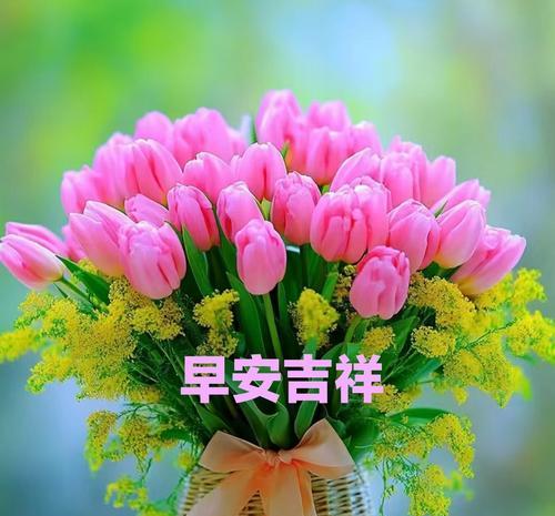 平安花束的花语有哪些？