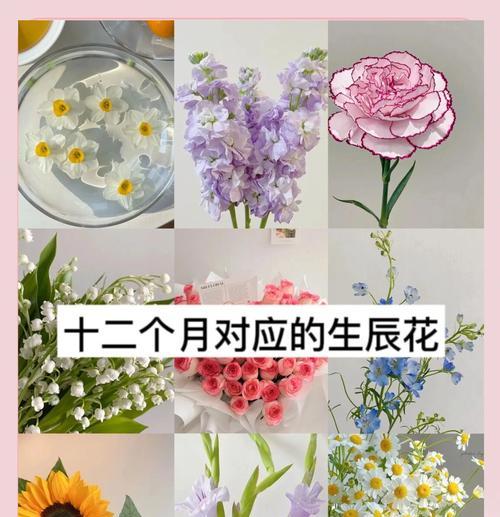 平安花束的花语有哪些？
