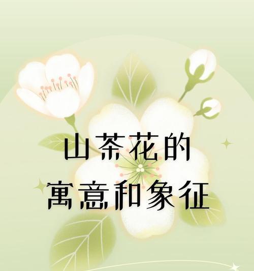 哪种花象征普通人的爱情？普通人的爱情花寓意是什么？