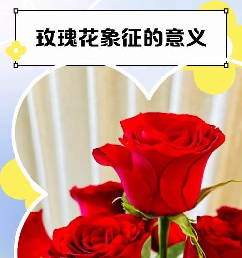 哪种花象征普通人的爱情？普通人的爱情花寓意是什么？