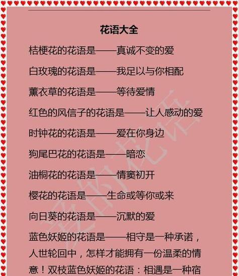 不同花文化的象征意义是什么？如何理解它们的深层含义？