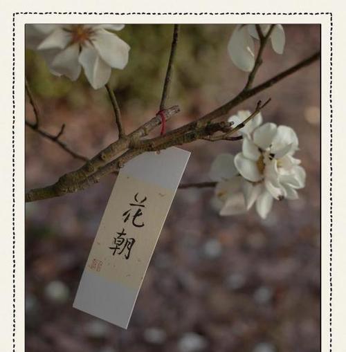 花朝节是怎么来的？花朝节有哪些寓意？