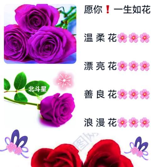 安静祝福的花语有哪些？安静祝福花语大全是什么？