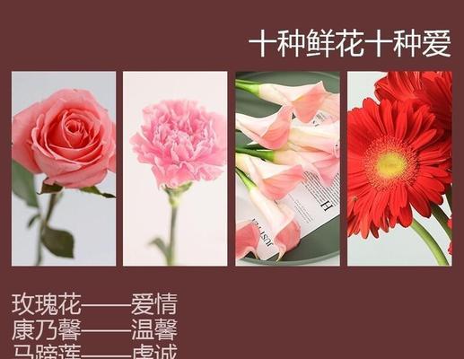 哪种花代表着繁华的爱情？