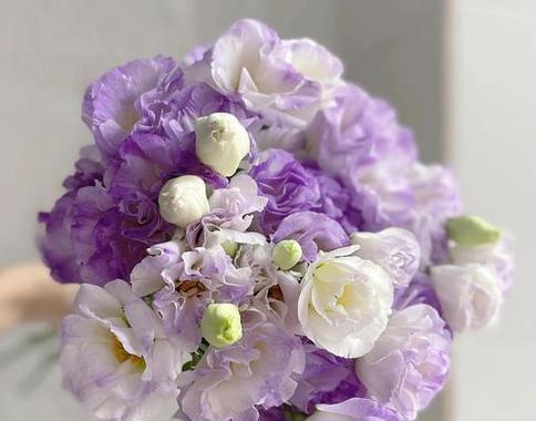 紫色桔梗花代表什么？它的花语有哪些含义？