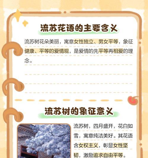 爱情中的花语有哪些？