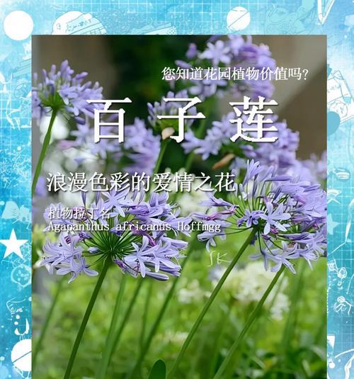 古代花语中哪些花代表美好爱情？
