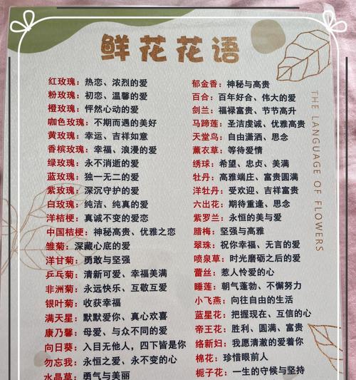 黄色玟瑰花代表什么？它的花语有何特殊含义？