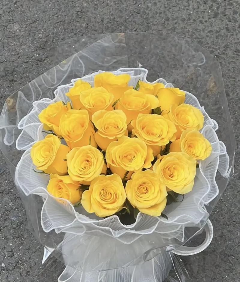 黄色玟瑰花代表什么？它的花语有何特殊含义？