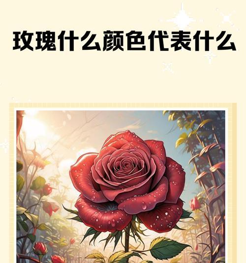 玫瑰花颜色的不同意义是什么？玫瑰花颜色的象征是什么？