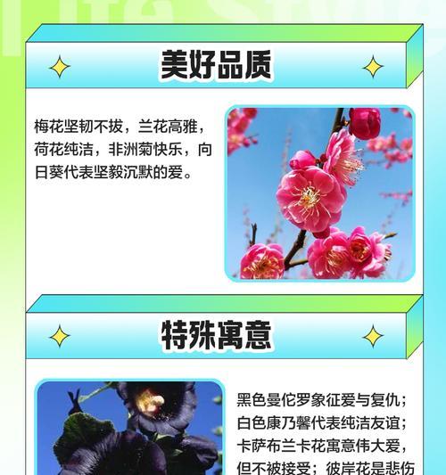 哪种花被赋予了好色的寓意？