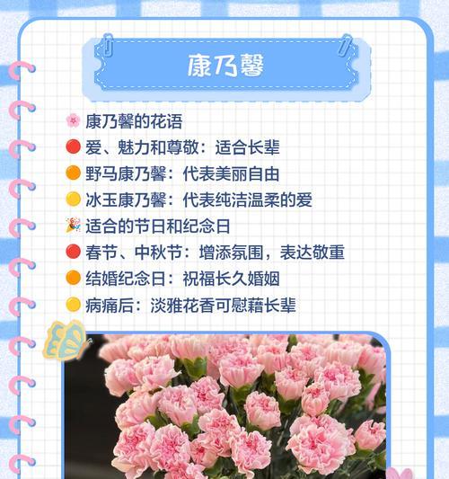 还有哪些花具有祝福的寓意？