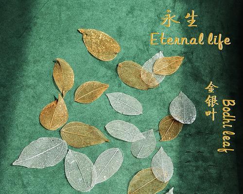 银色永生花代表什么意义？