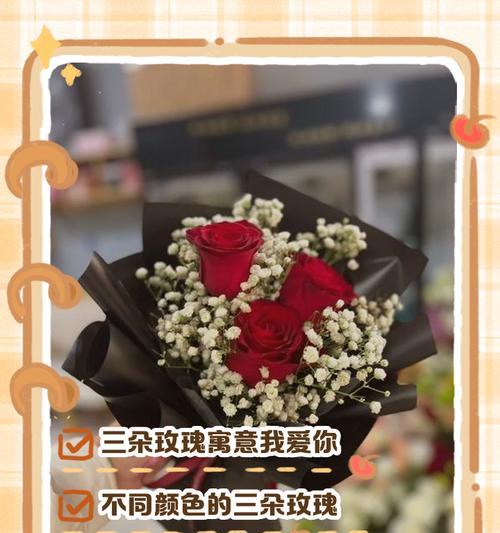逐渐变色玫瑰花有何特别寓意？它代表了什么？