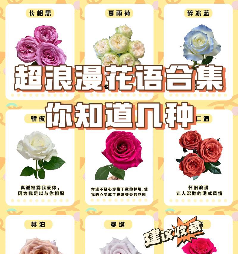 不懂花语的浪漫是什么？如何在不了解花语的情况下表达浪漫？