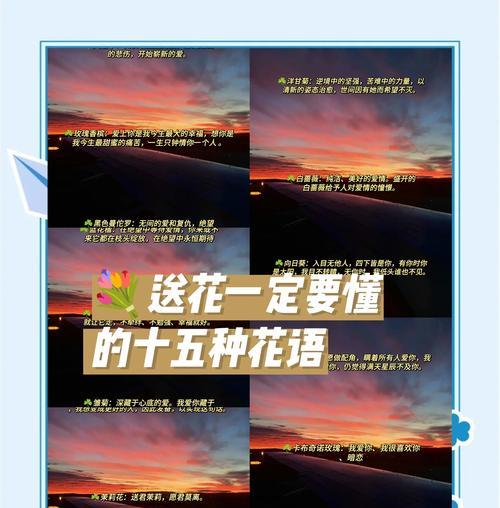 不懂花语的浪漫是什么？如何在不了解花语的情况下表达浪漫？