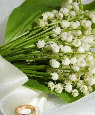 金色内衣的花语是什么？选购金色花语内衣时应注意什么？
