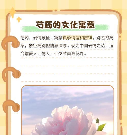 哪些花象征爱情的真诚？真诚爱情的花卉代表是什么？