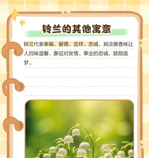 哪种花语代表爱情的幸福？