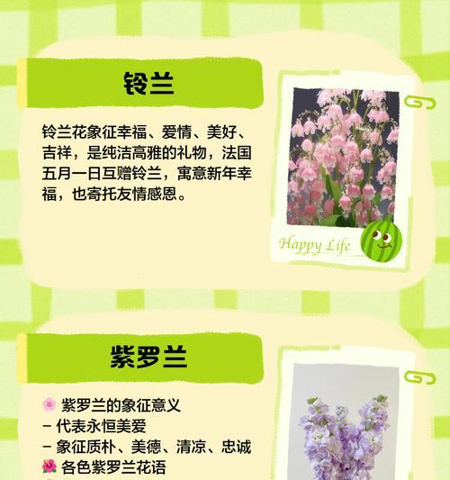 浅色花中哪个寓意更佳？它们的花语有何不同？