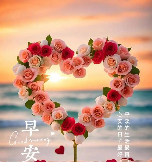 花语平安开心是什么意思？如何用花表达平安开心？