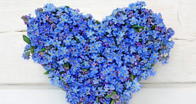 蓝色捧花的寓意是什么？蓝色捧花象征着什么？