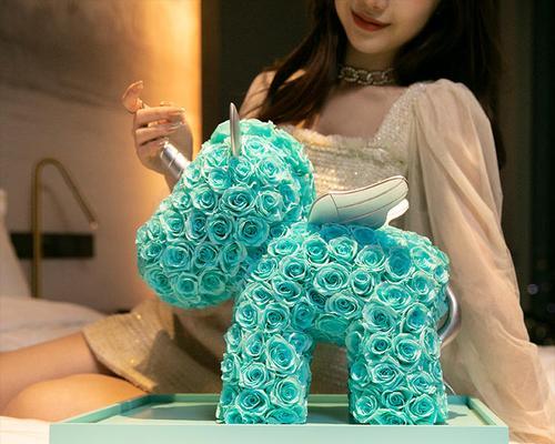 彩色独角兽花的寓意是什么？它象征着什么？