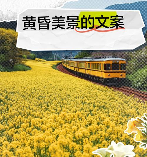 黄昏时分哪种花象征季节？黄昏与季节花的寓意是什么？