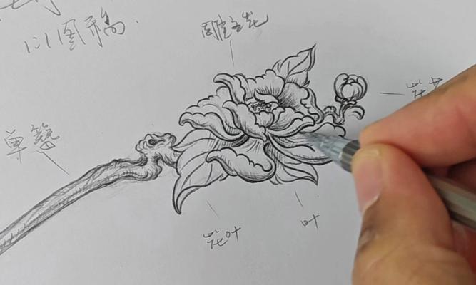 簪哪种颜色的花寓意最佳？