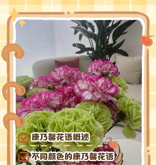 不同颜色康乃馨分别代表什么含义？