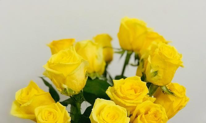 黄色花几朵的含义是什么？