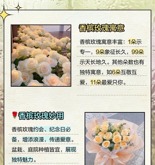 香槟色迎亲花代表什么意义？