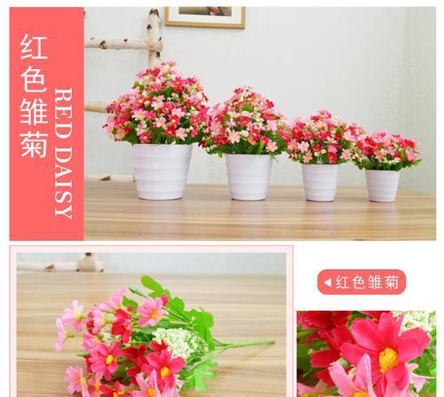 客厅摆放七色花的寓意好吗？