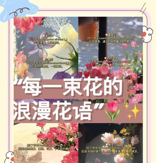花语诗意浪漫？哪种花最能代表浪漫？