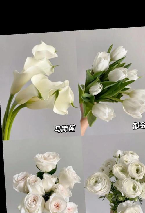 两种花组合成手捧花有何特殊含义？