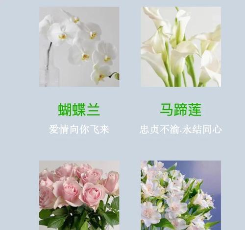 两种花组合成手捧花有何特殊含义？