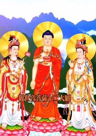 哪种花寓意着祈祷吉祥？