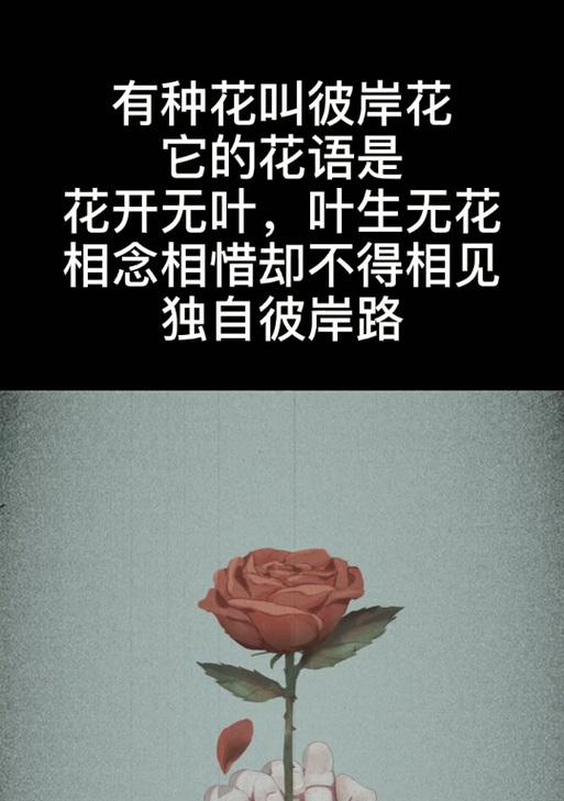 如何制作花语甜蜜的推文？