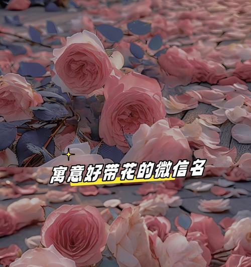 金色栀子花的寓意和象征是什么？