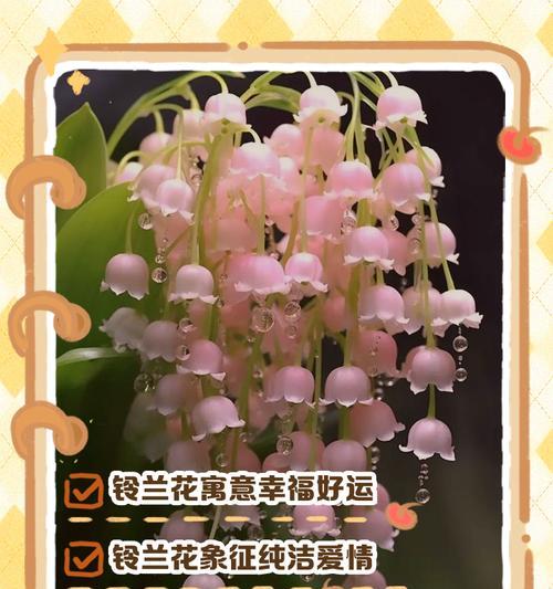 哪种花寓意幸福？用一句话描述它的花语是什么？