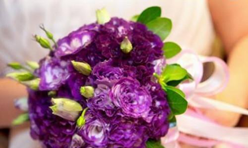 白绿紫色手捧花有何寓意？它的花语是什么？