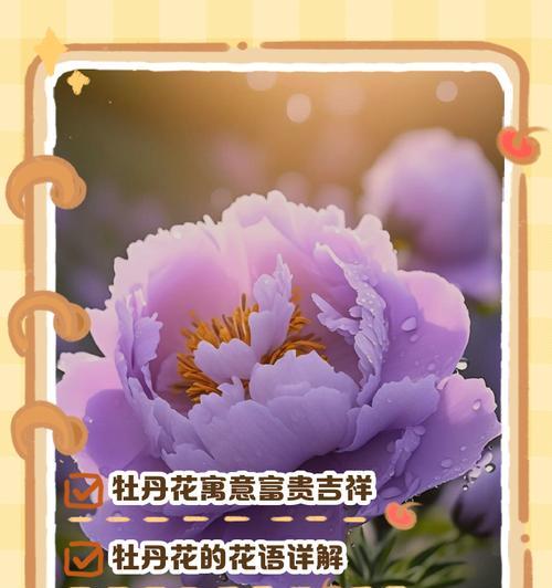 黄色牡丹花的寓意和花语是什么？黄色牡丹花象征着什么？