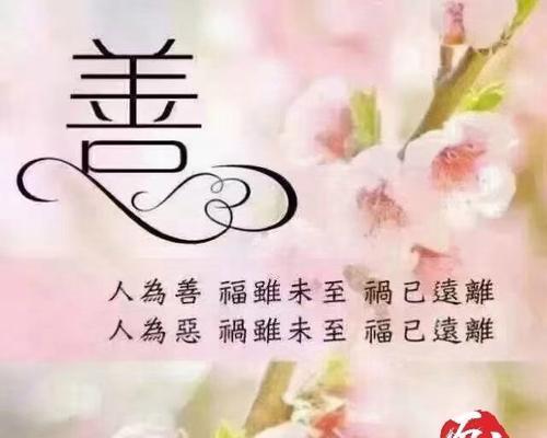 平安喜乐花语是什么？选择哪种花表达平安喜乐？