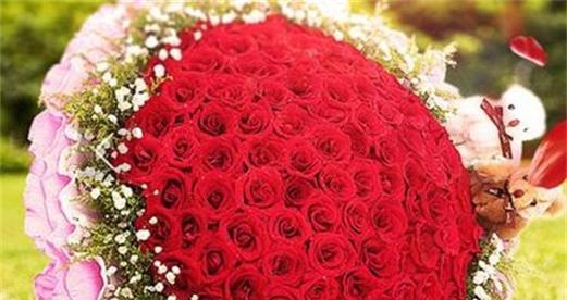 红色爱情花代表什么？它们在表达爱意时的含义是什么？
