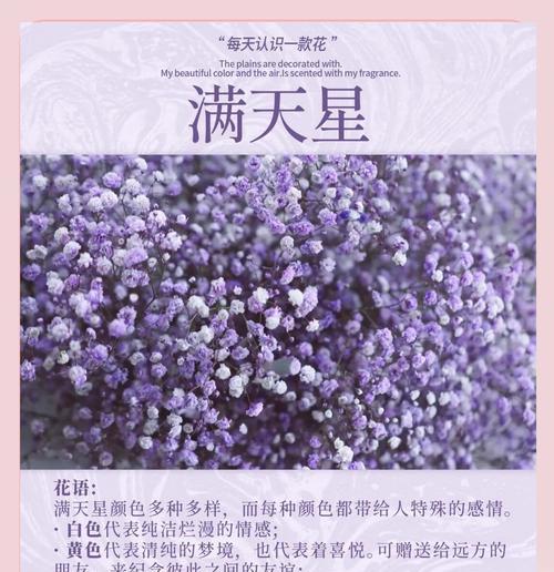 花语满天特色面是什么？花语满天特色面的寓意有哪些？