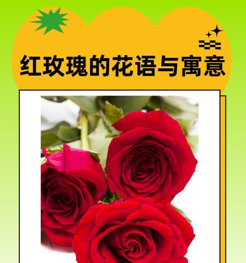 花语满天特色面是什么？花语满天特色面的寓意有哪些？
