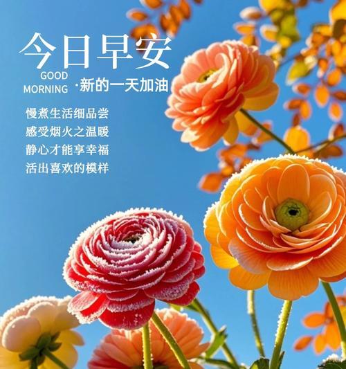 十色花的含义和寓意是什么？如何用十色花表达情感？