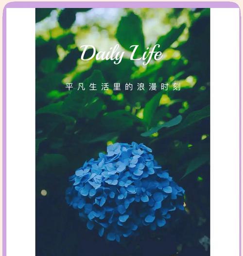 绣球花的浪漫花语是什么？