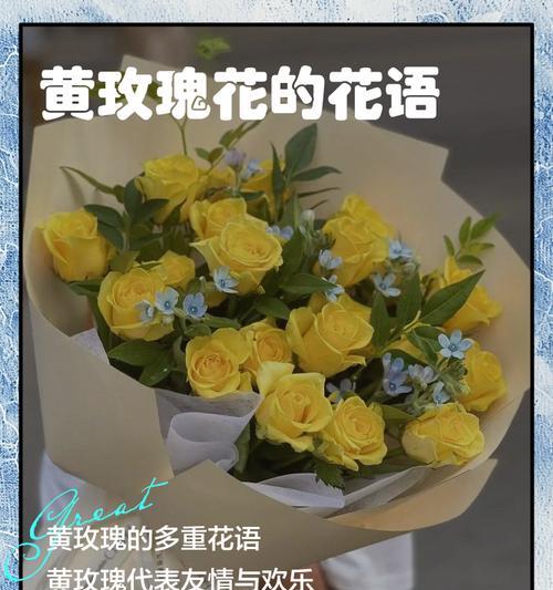 不同颜色玫瑰花代表什么寓意？每种颜色的花语有何不同？